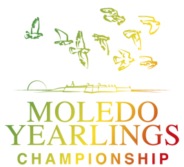 logo yearlings